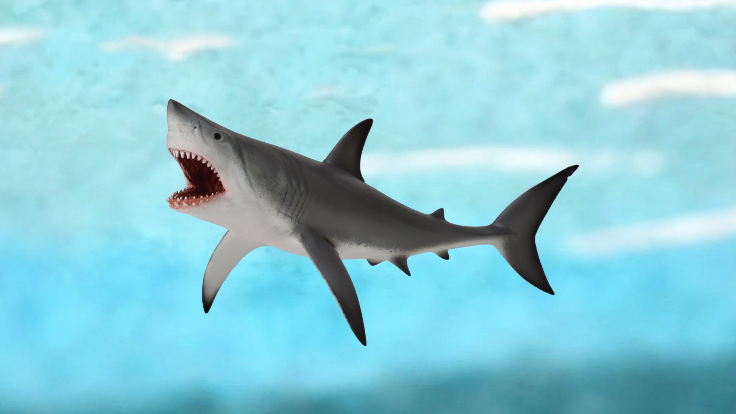CollectA Australia Animal Figurines Figures Schleich Papo collector collectibles native wildlife shark