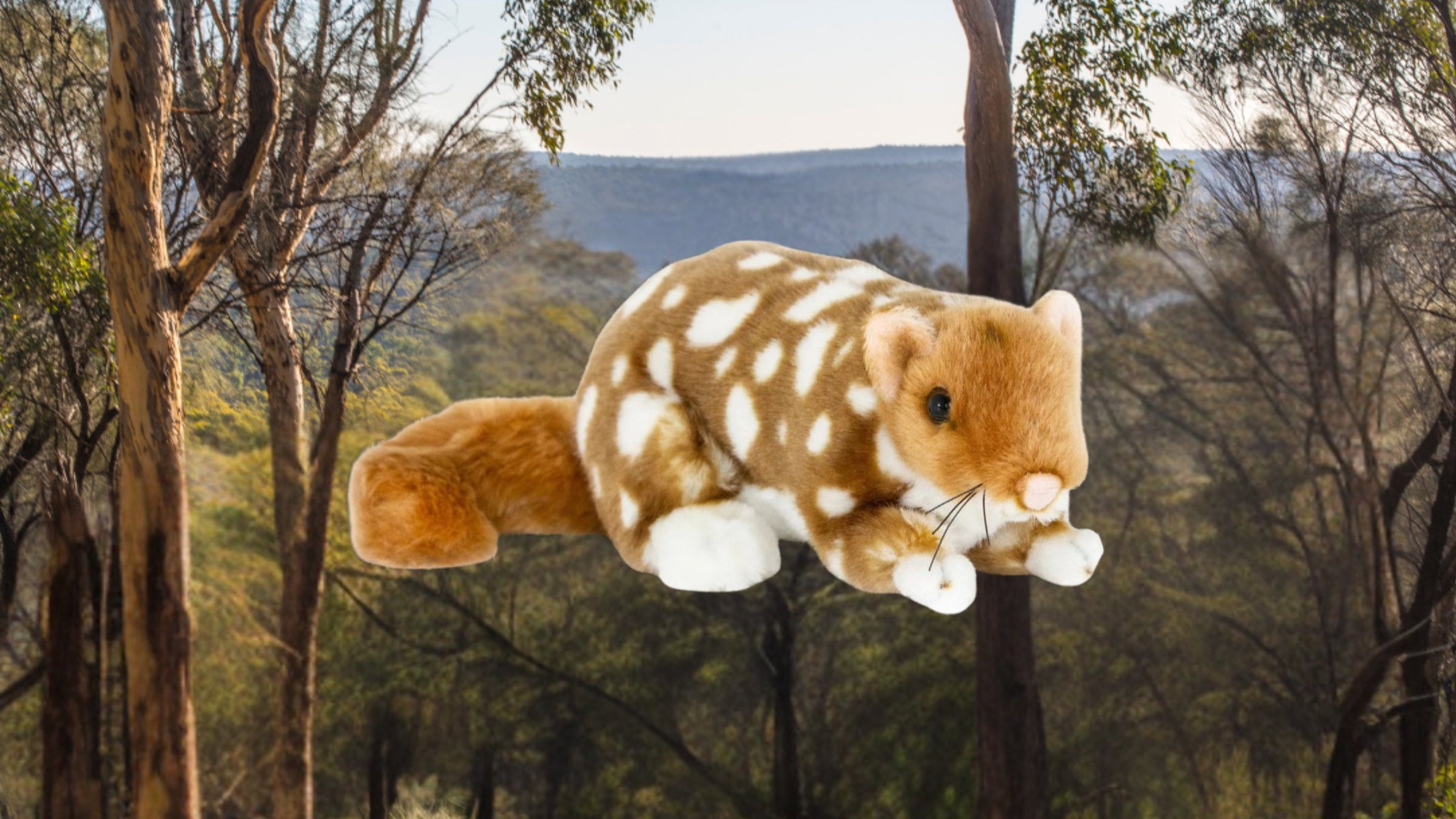 Australian native animals toys stuffed plush hand puppets finger puppet koala kangaroo cockatoo quoll numbat