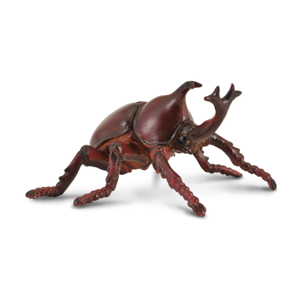 Australia-CollectA rhinoceros beetle Schleich Detailed Realistic Figurine