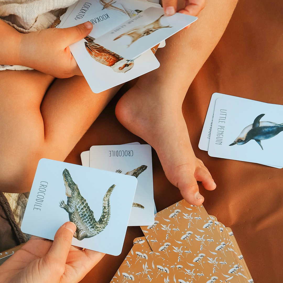 Australia animal card game snap go fish modern monty