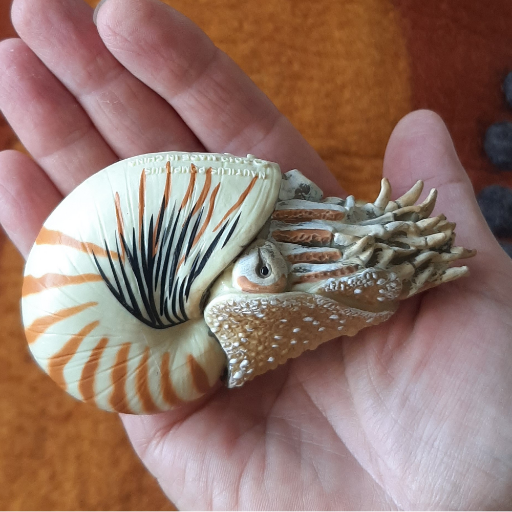 Australia nautilus pompilius toy animal figurine collectA Schleich sale realistic detailed collector