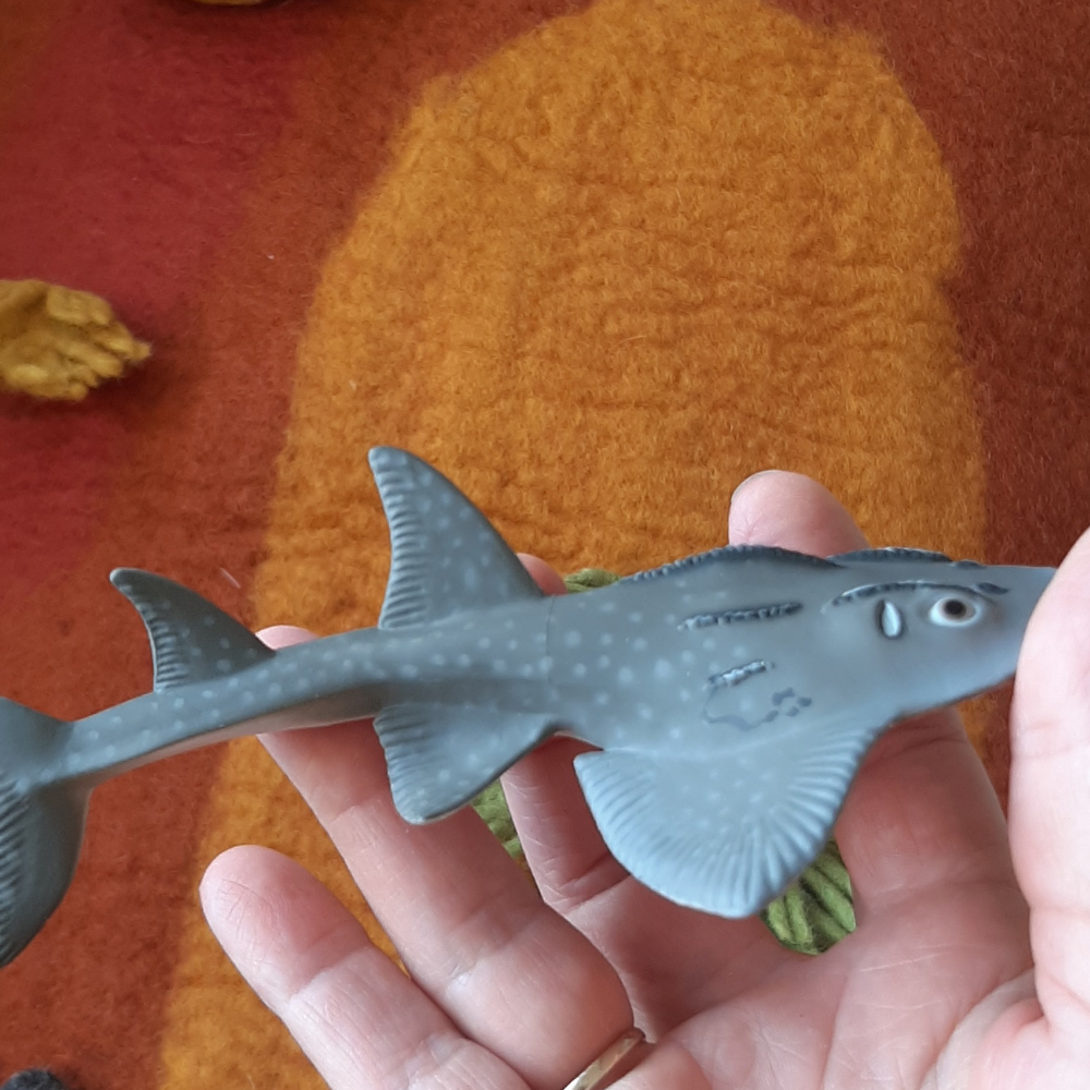 Australia shark model toy collector collectible animal figurine guitarfish small world play lifelike realistic real