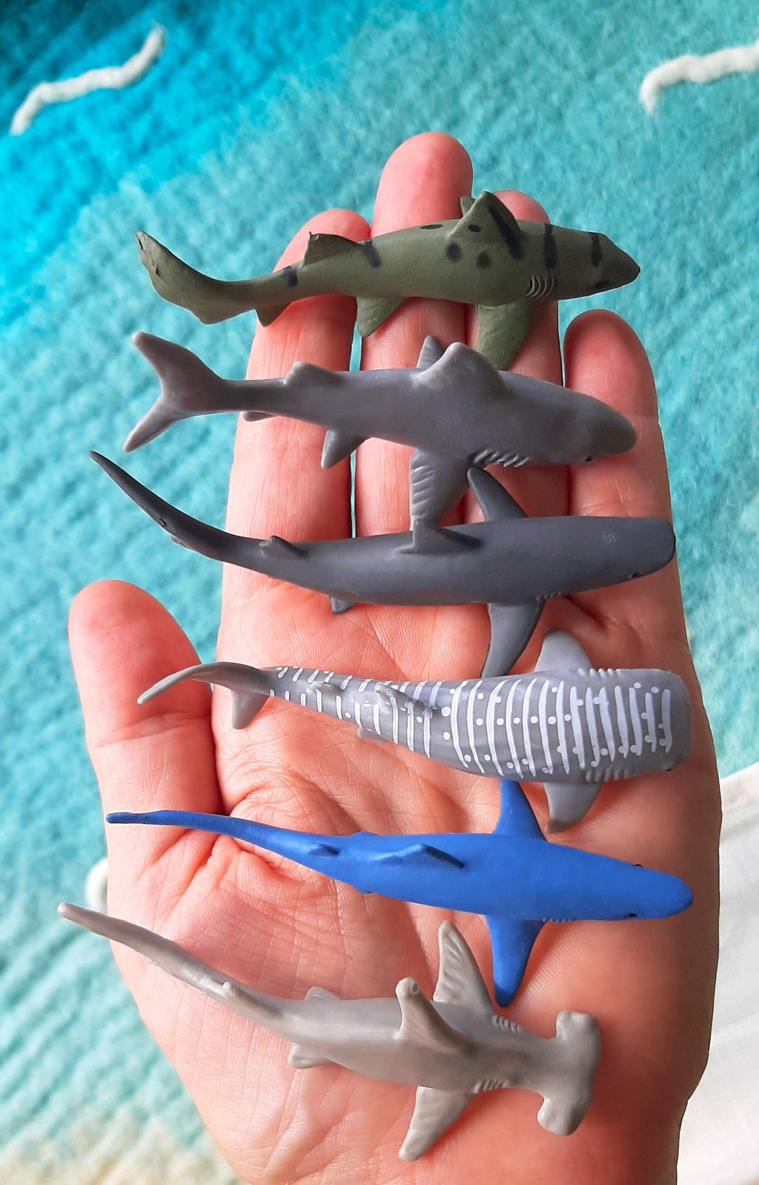 Australia shark set mini small sharks toys small world figures realistic detailed lifelike safari