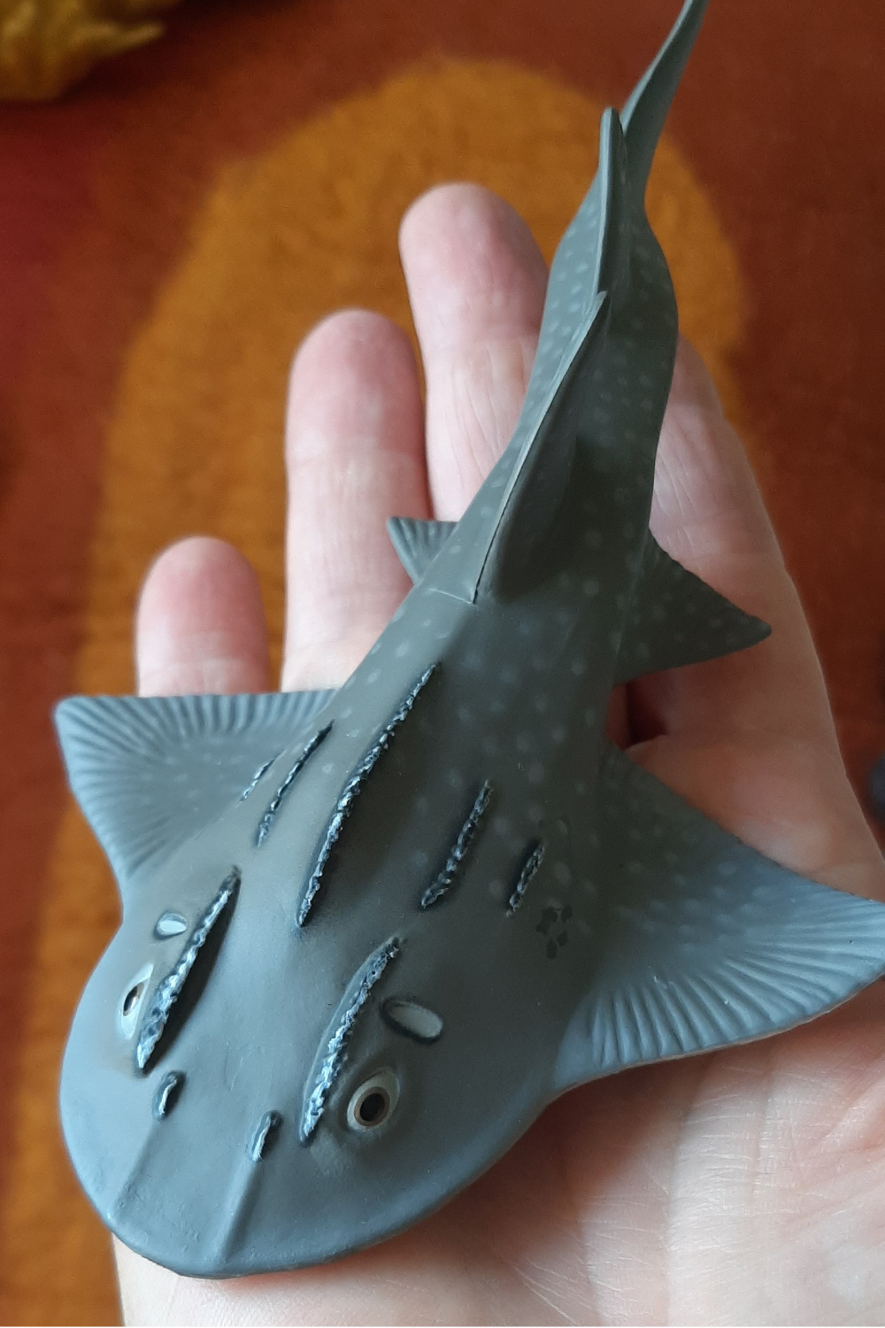 CollectA SHARK RAY BOWMOUTH GUITARFISH CO88999 Detailed Realistic Animals Australia Eco Joeys