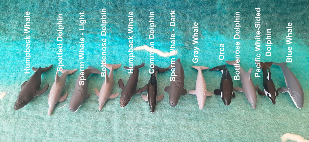 Australian whale dolphin toys figurine orca humpback mini small native wildlife figures schleich collecta safari toob sperm blue whales