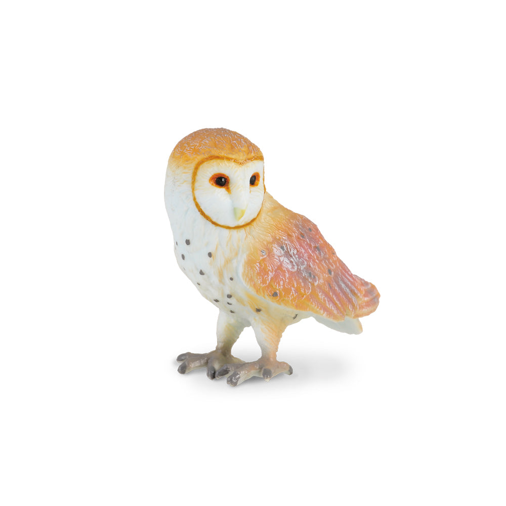 CollectA Australia barn owl animal birds CO88033 88033 Schleich