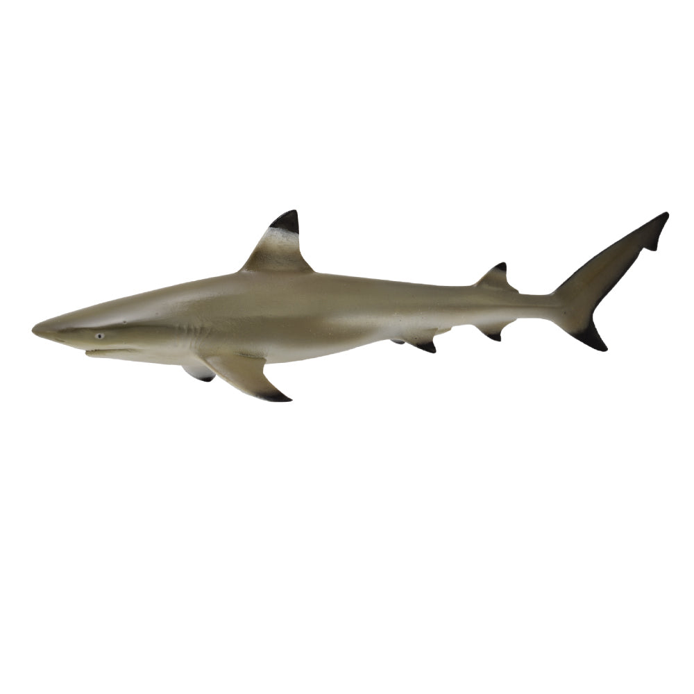 CollectA Australia blacktip reef shark CollectA Schleich CO88726 88726