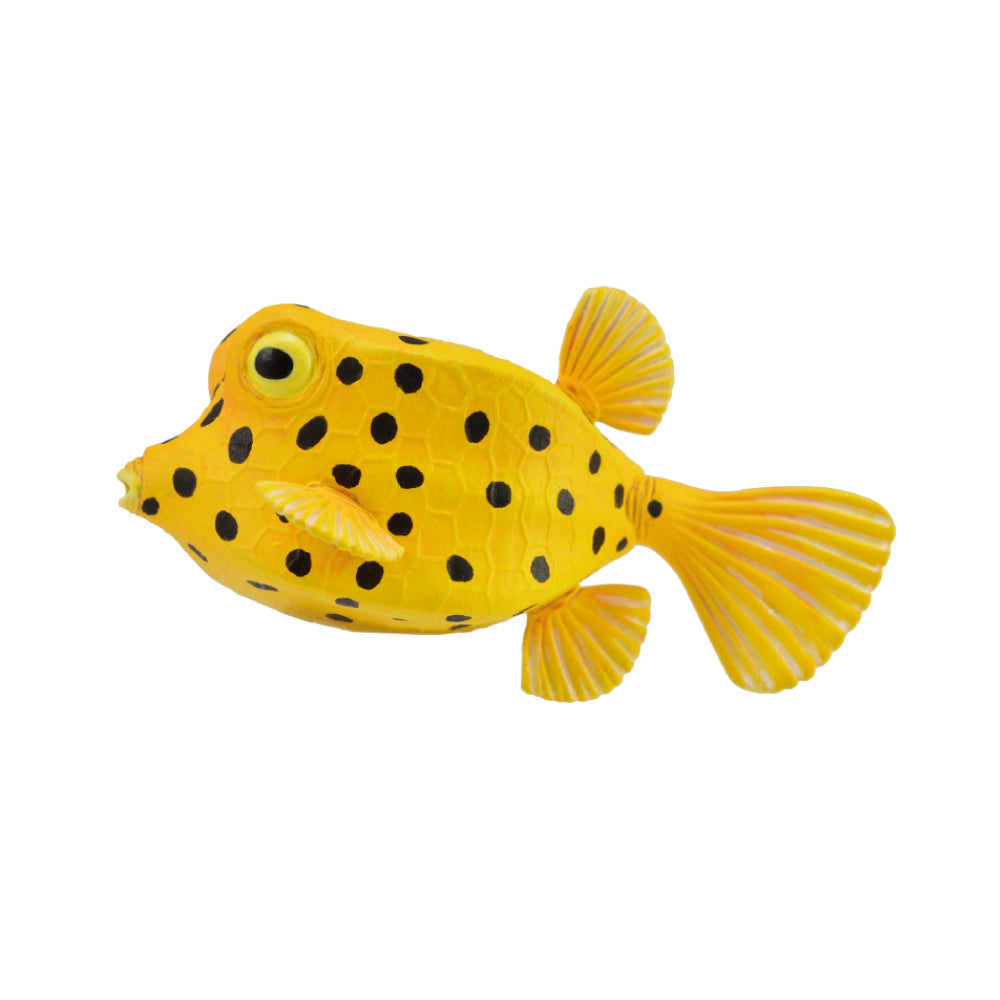 CollectA Australia boxfish tropical fish Schleich CO88788 88788