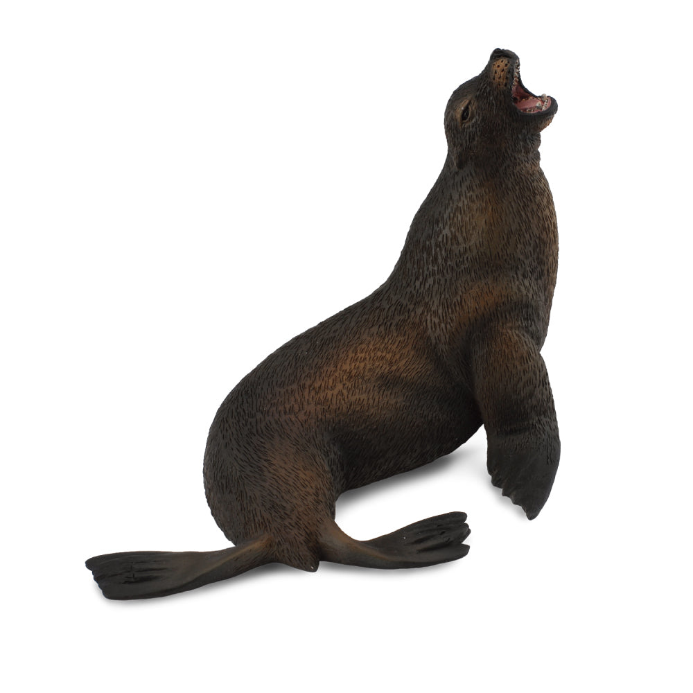 CollectA-Australia-sea-lion-CO88454-88454-Schleich