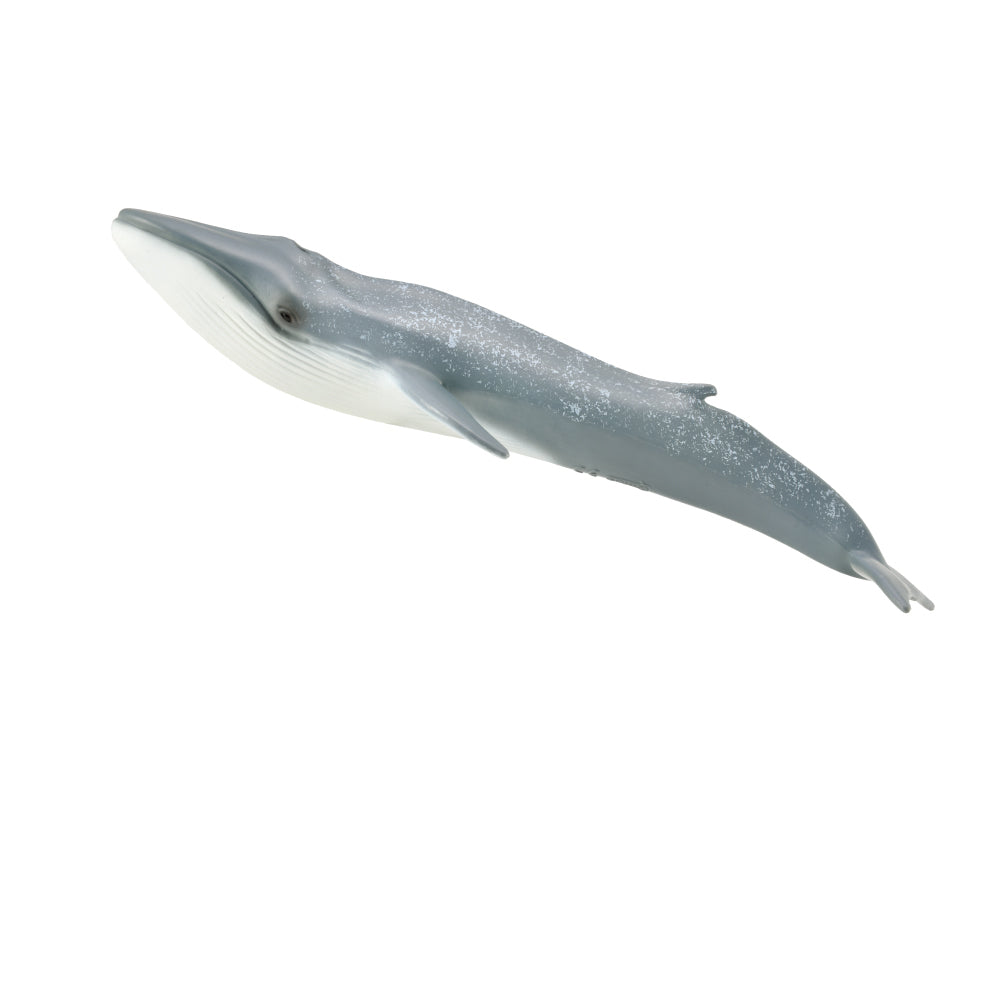 CollectA Blue whale animal sale Australia 88834 CO88834 Schleich