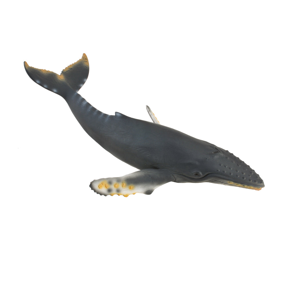 CollectA humpback whale Australia Schleich 88347 CO88347