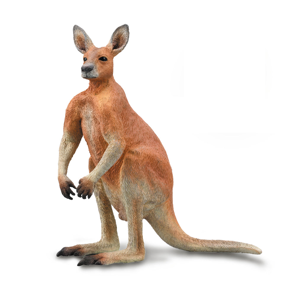 CollectA kangaroo male Australia Schleich 88942 CO88942 Detailed Realistic Animals