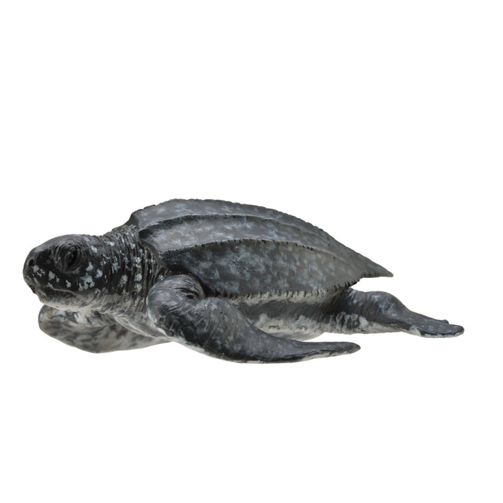 CollectA leatherback sea turtle Australia Schleich 88680 CO88680 Detailed Realistic Figurine