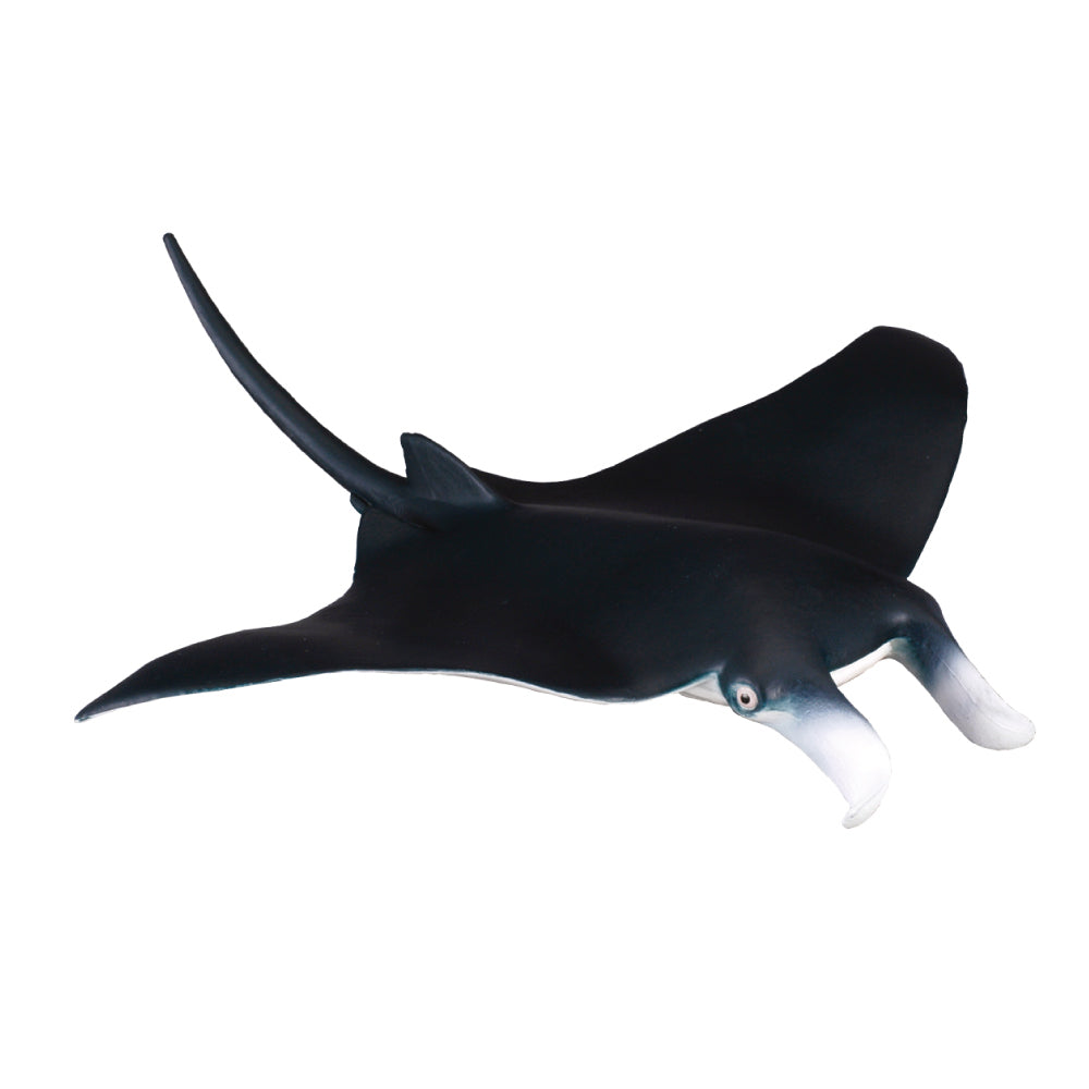 CollectA manta ray Australia animals Schleich 88040 CO88040 detailed realistic figurine