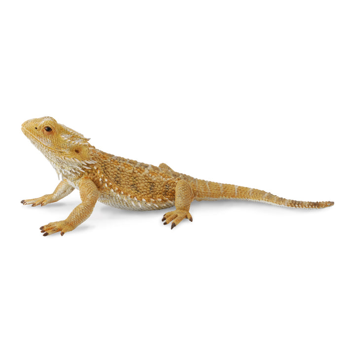 CollectA sale Australia bearded dragon Schleich 88567 CO88567 Realistic Outback