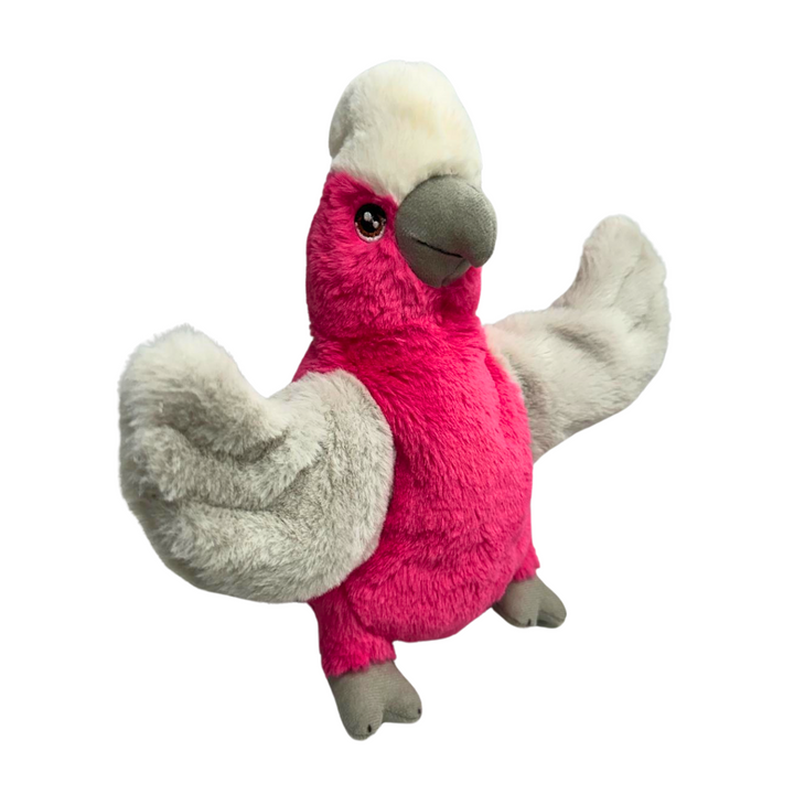 Eco buddies hand puppet galah bird Australia teaching aid Folkmanis