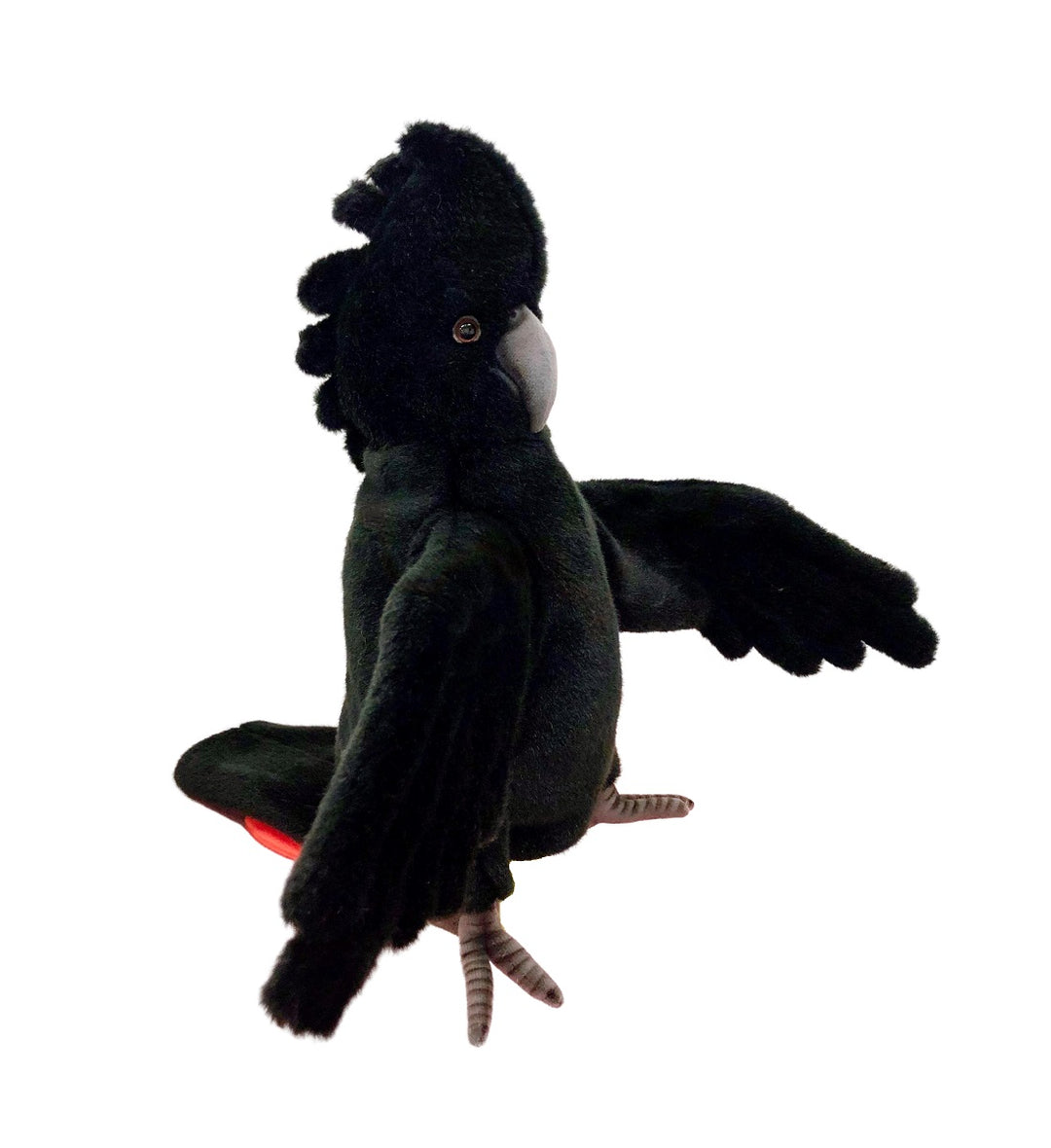 Hansa red tailed black cockatoo puppet Australia bird puppets Folkmanis realistic teaching aids