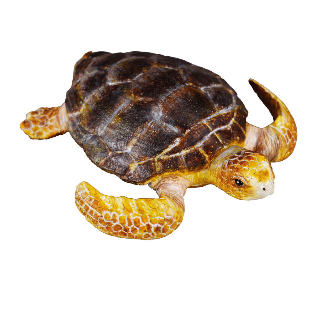 Loggerhead turtle CollectA Australia Schleich 88094 CO88094 Realistic Detailed