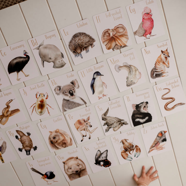 Modern Monty Australia animal alphabet flash cards