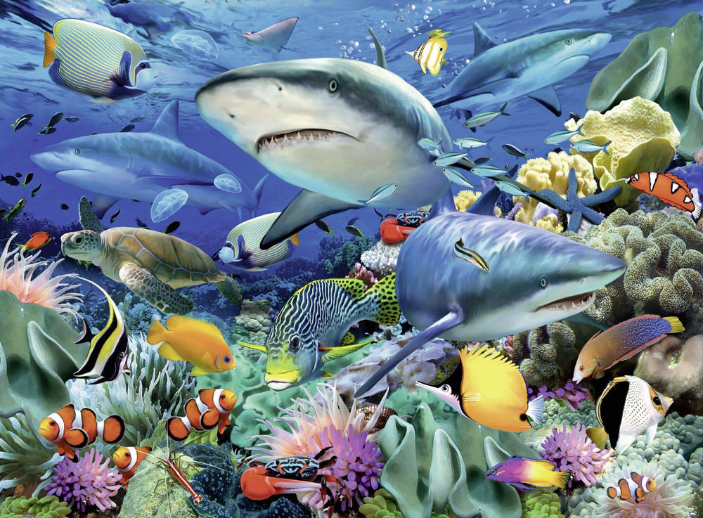 Ravensburger jigsaw puzzle reef sharks jigsaw puzzle 100pc kids Australia sale XXL