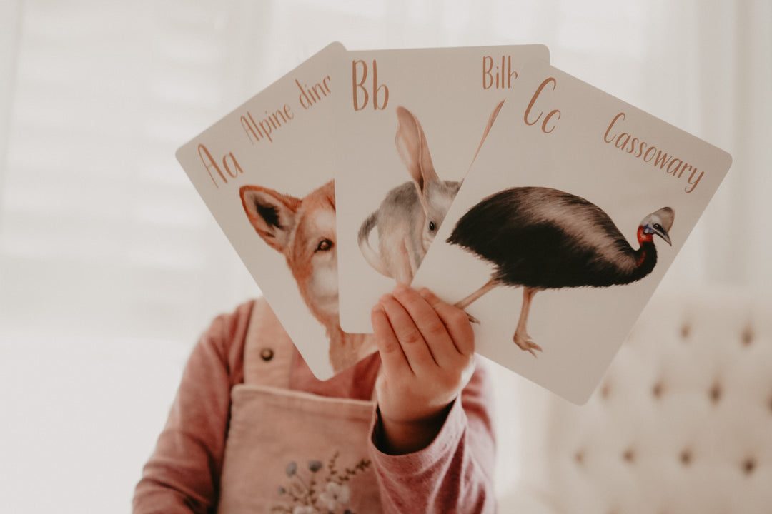 animal flash cards Australia