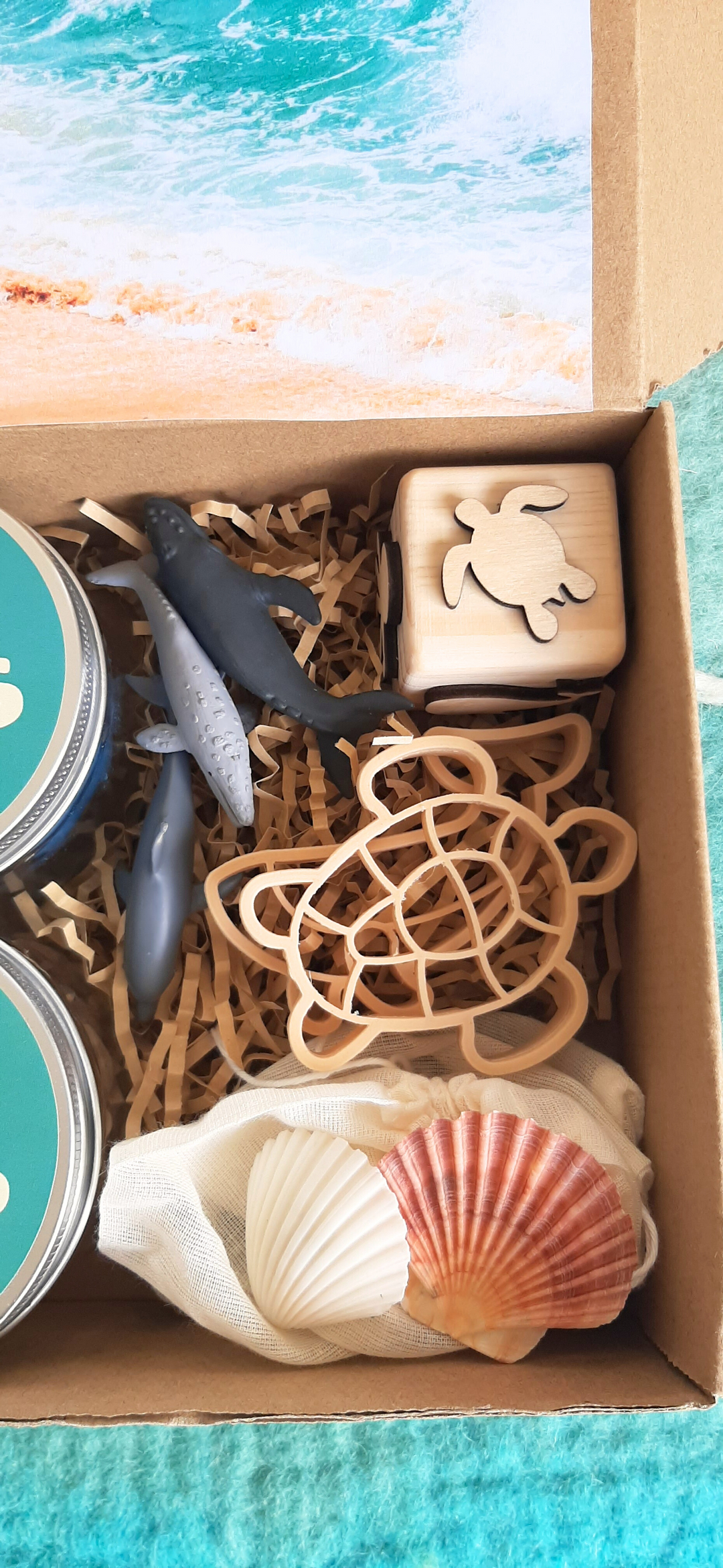 Australian Habitat Playdough Kit - Ocean Adventure. NEW! Includes Dough, Cutters, Stamp, & Animals.
