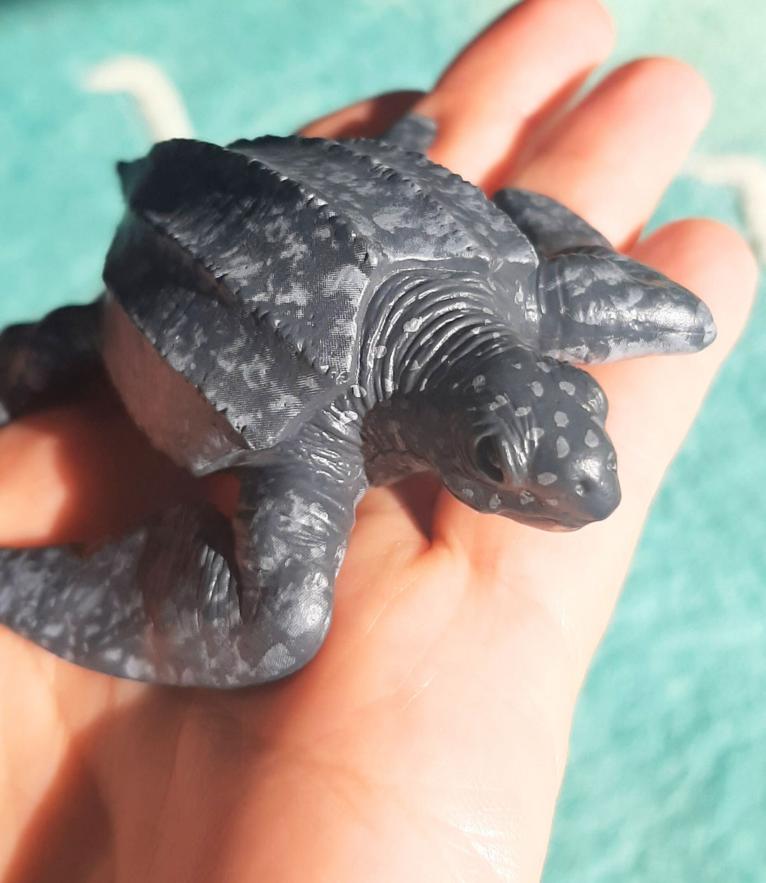 realistic sea turtle toy - native Australian leatherback