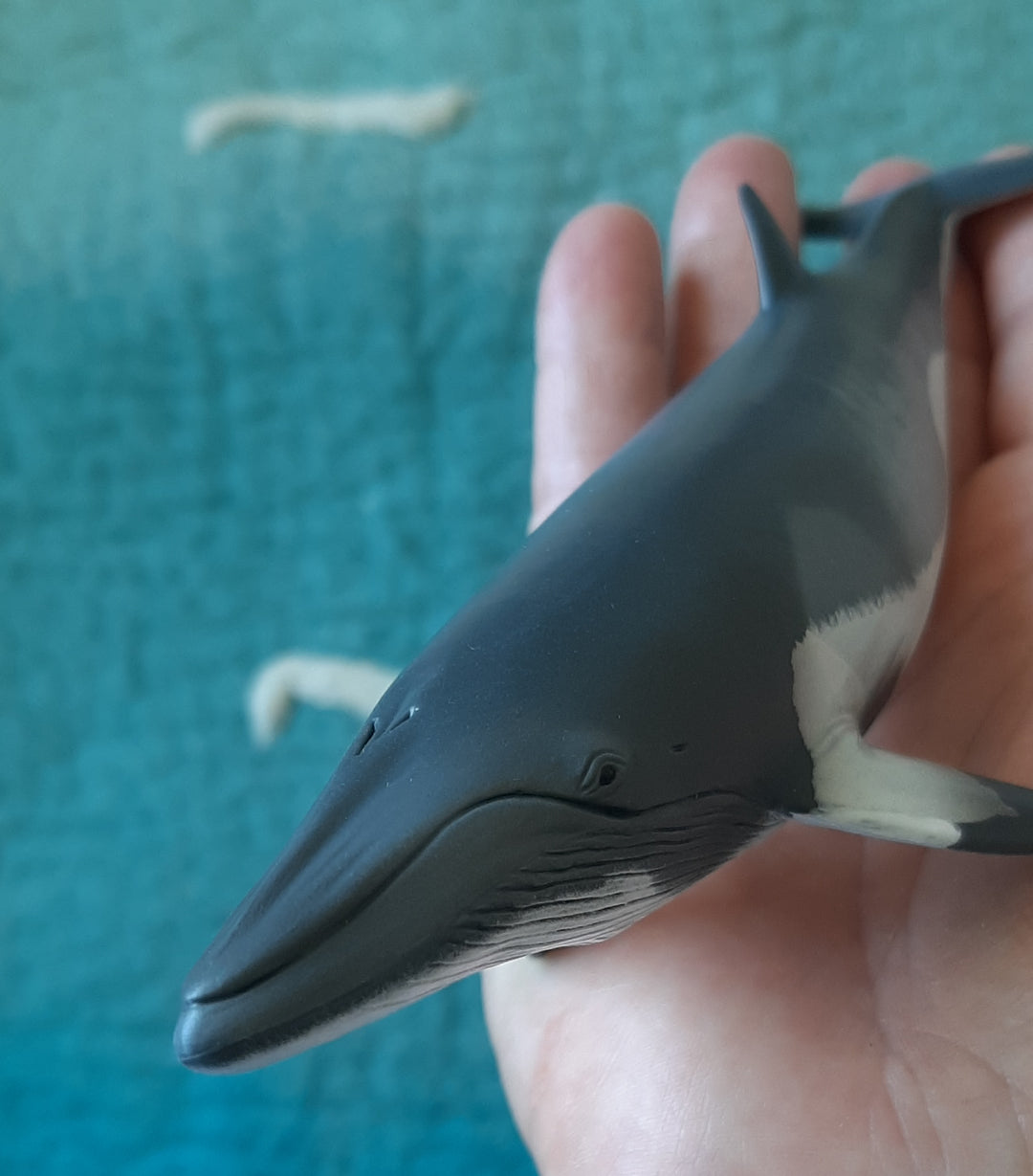 australia whale figurine minke schleich toymany collectA lifelike realistic detailed collector model