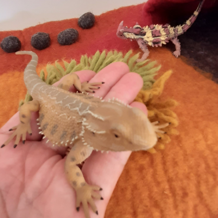 CollectA Bearded Dragon Lizard - 13.5cm. MORE ARRIVING SOON!