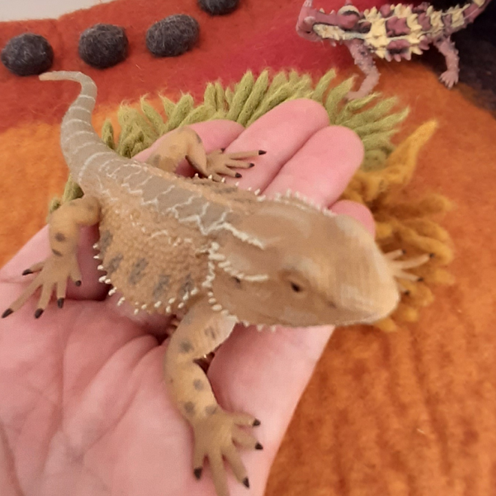 Outback Lizard & Dragon Trio (Set of 3)