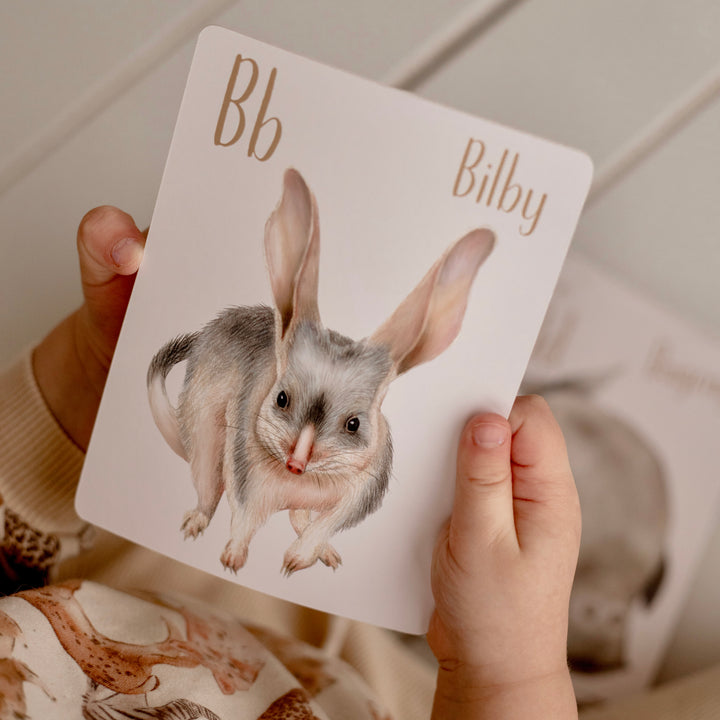 bilby Australian native animal flash cards preschool alphabet game