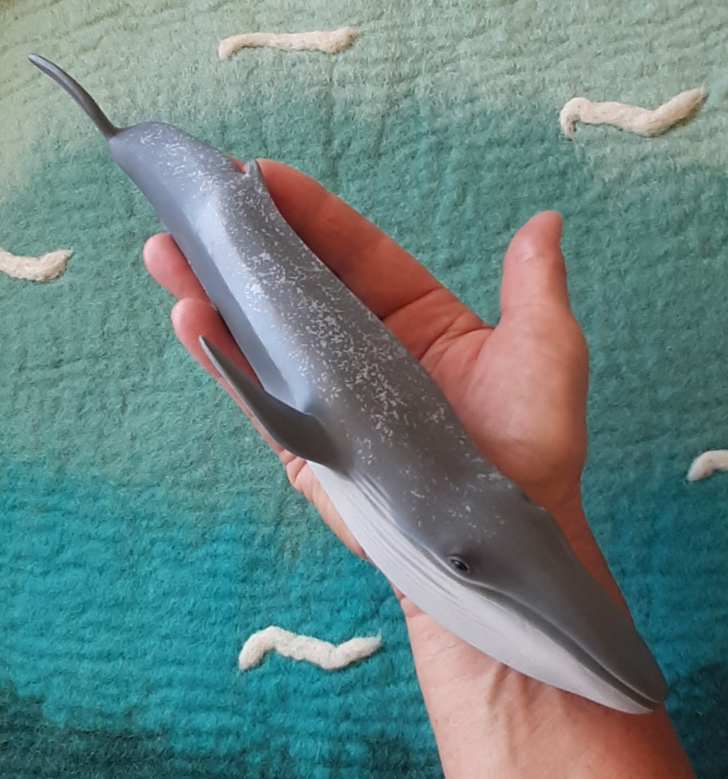 blue whale figurineaustralia model toy lifelike detailed realistic specimen