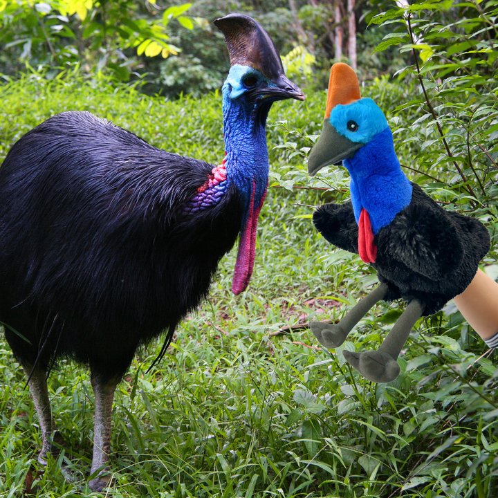 cassowary hand puppet australia native birds eco buddies