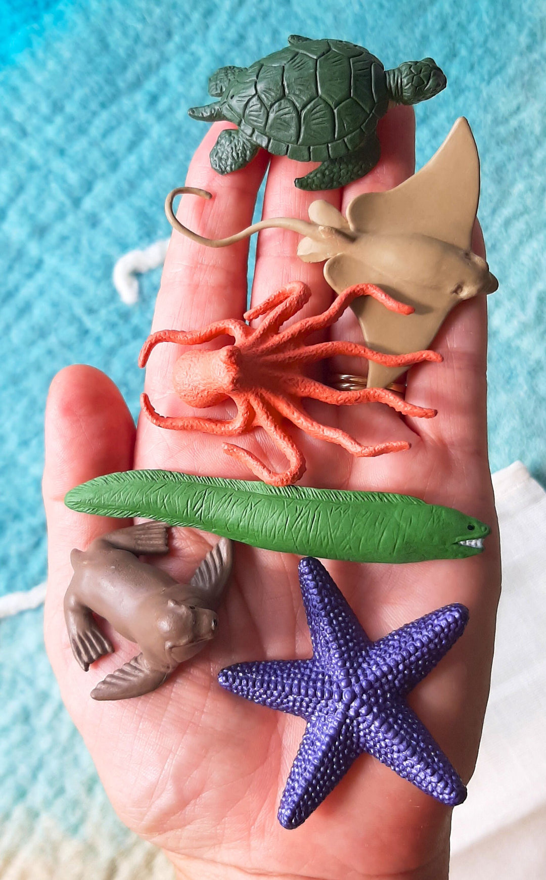 coral reef animal toys great barrier tropical fish mini toys figurine small world animals australia
