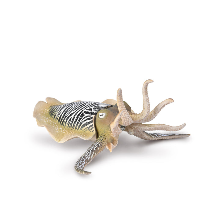 cuttlefish figurine Australia CollectA native animals Schleich 80009 CO80009 realistic