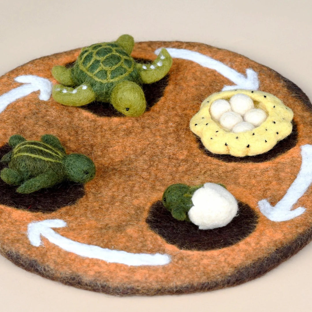 sea turtle life cycle Australia kids learning teaching notes resource felt stuffed toys 