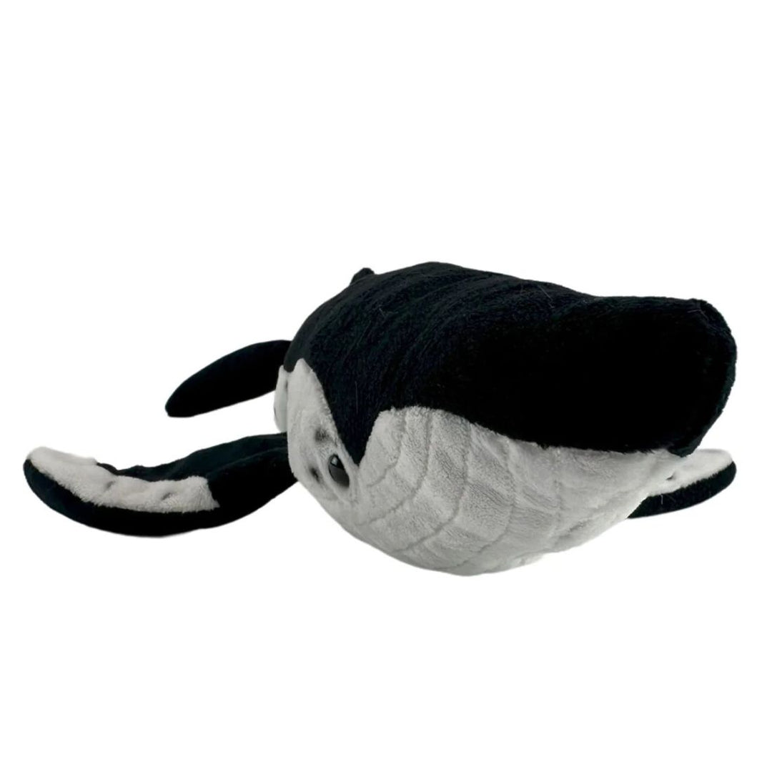 Humphrey the Humpback Whale - 49cm