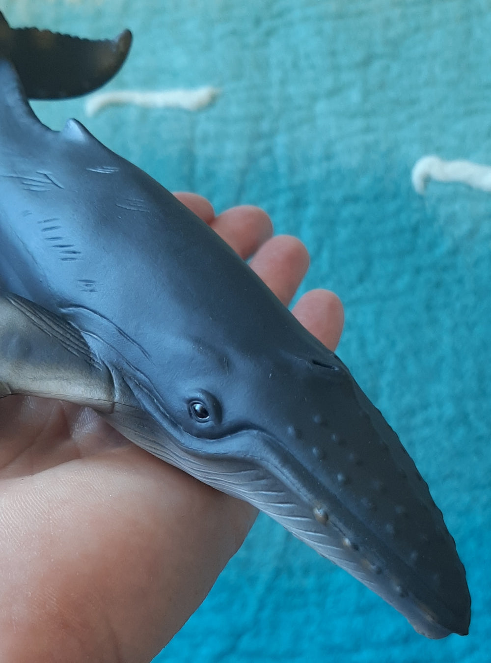 humpback whale toy model australia lifelike realistic detailed collector