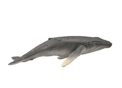 humpback whale toy model figurine realistic lifelike australia calf