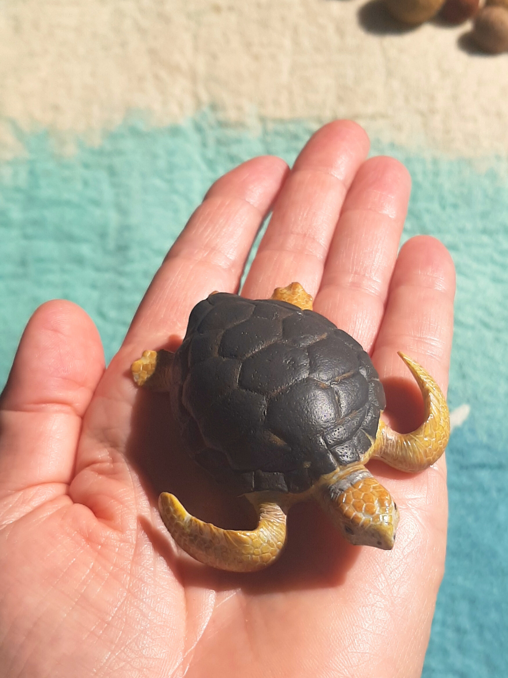 realistic figurine toy of native Australian loggerhead sea turtle