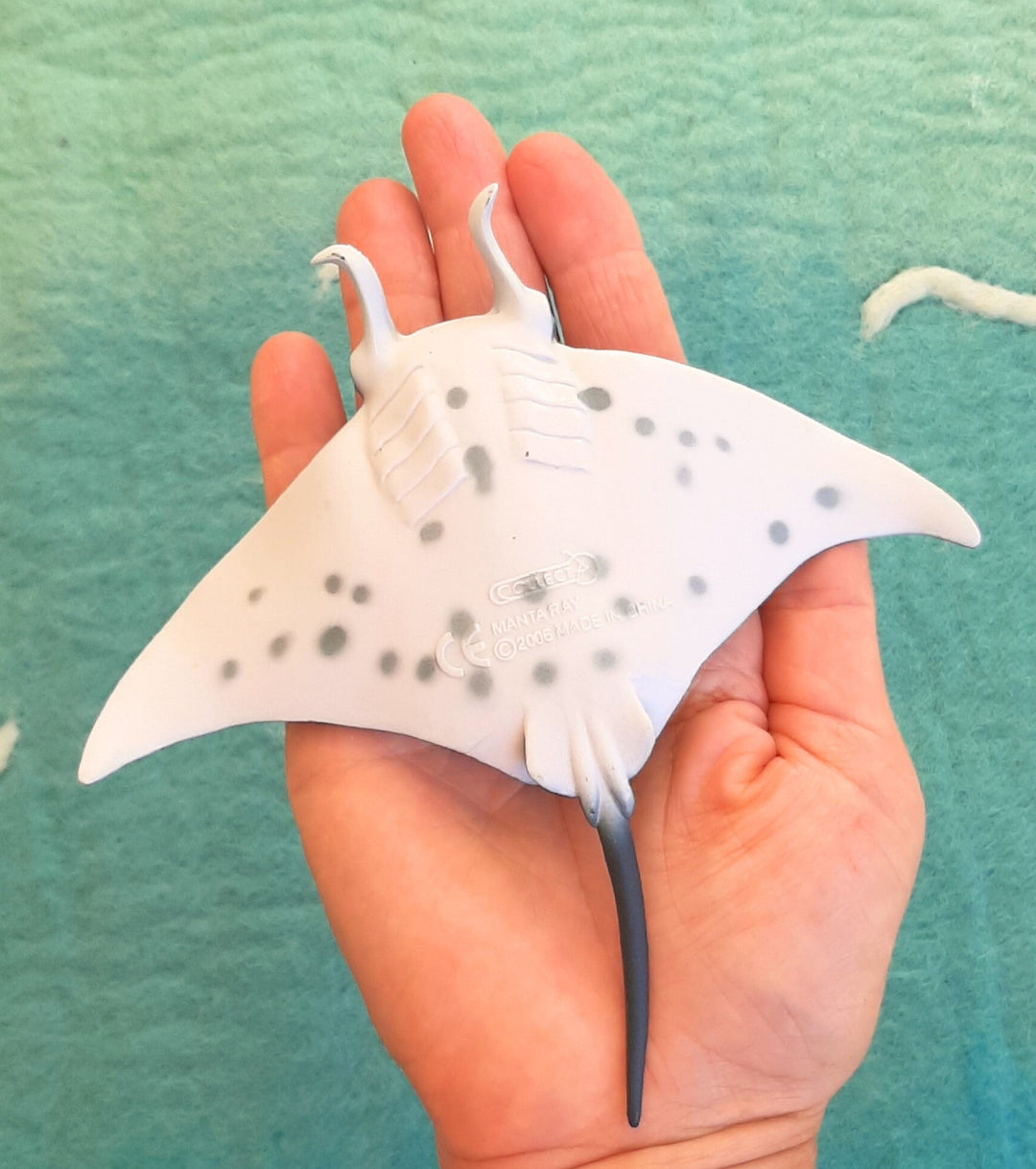 underside of realistic toy figurine of Australian manta ray