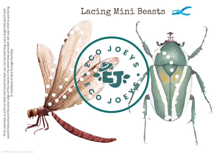 Mini Beast Morning Basket & Early Learning Pack - Digital Download (60 pages)