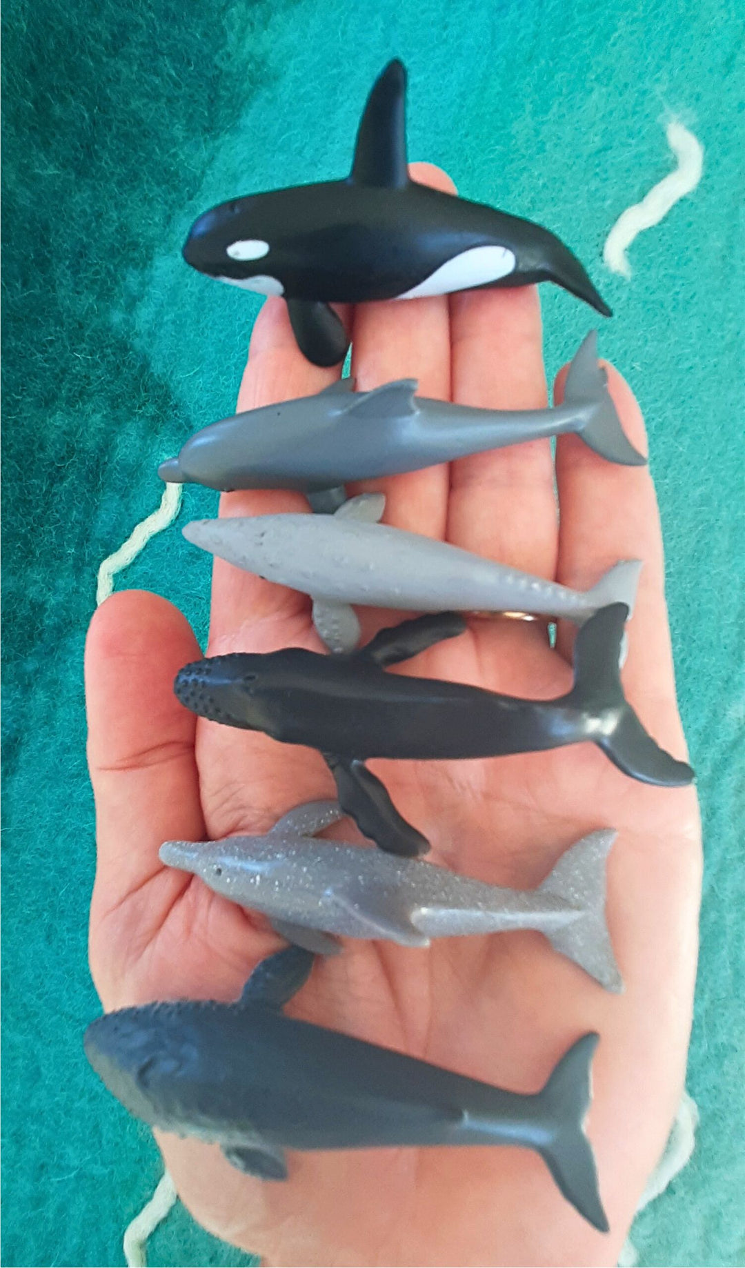 mini native whales dolphins cetaceans Australia toys marine mammals orca humpback figures figurine schleich collecta safari bag
