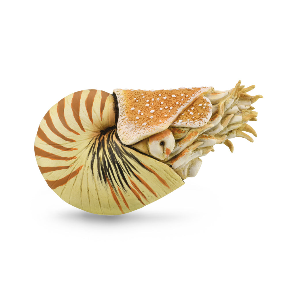 nautilus pompilius XL large CollectA Australia Scleich