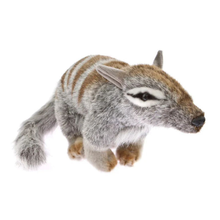 numbat stuffed plush toy animal australian noombat walpurti bocchetta plushie softie realistic