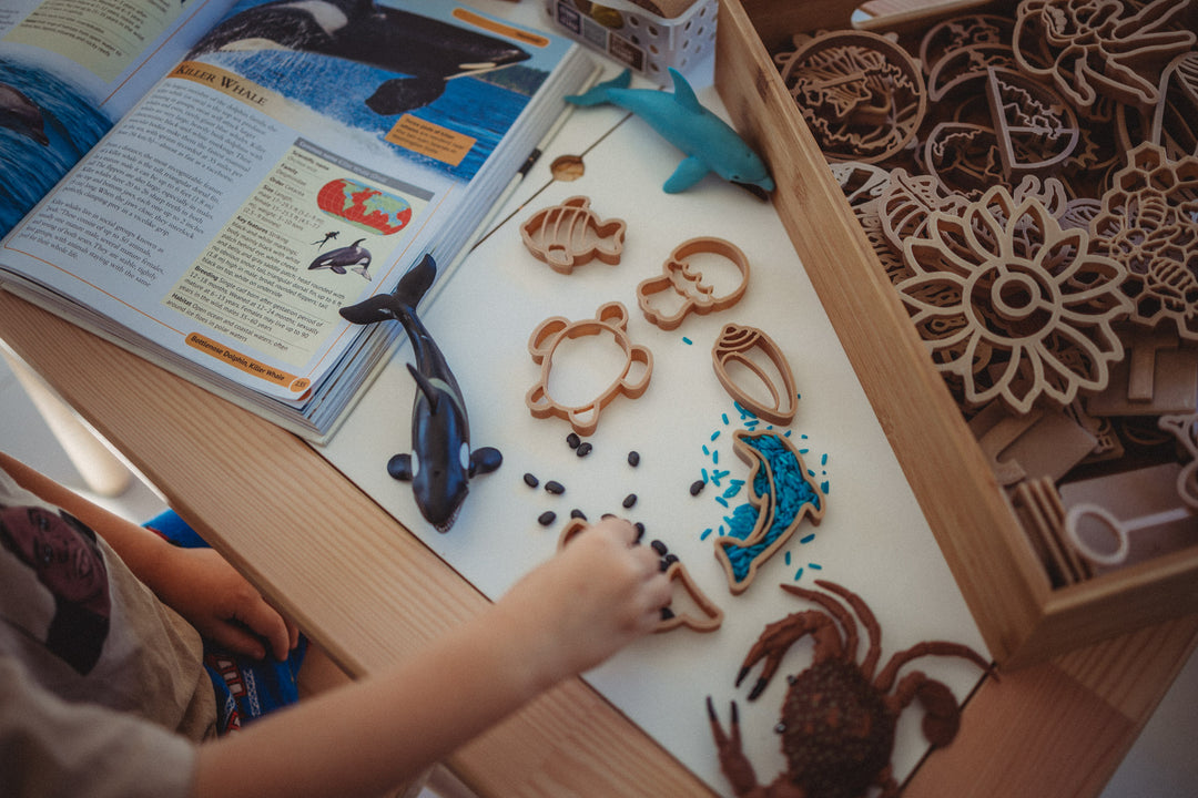 ocean eco cutters Australia sensory play sea animals turtle dolphin eco friendly toys kinfolk pantry