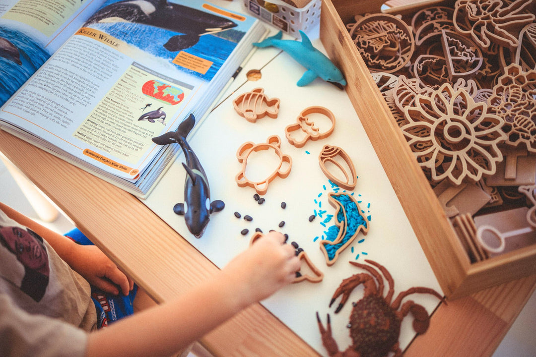 ocean eco cutters Australia sensory play sea animals turtle dolphin eco friendly toys kinfolk pantry