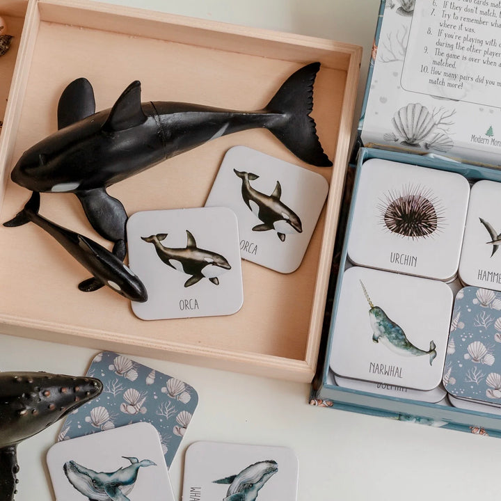 ocean memory match card game snap Australia sea animals orca dolphin whale shark