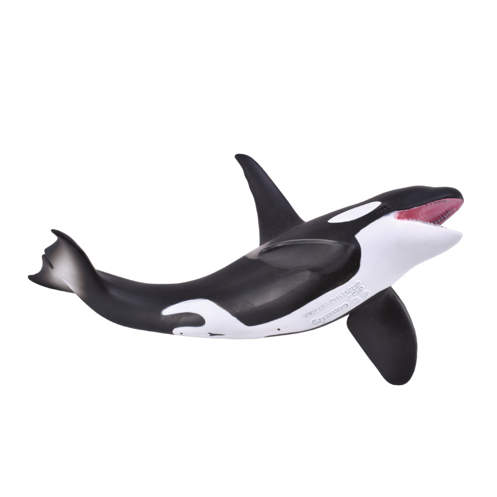 orca model australia detailed lifelike realistic figurine collectA killer whale