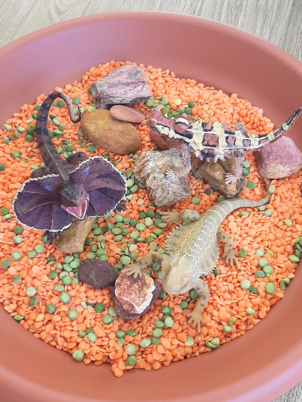 Australian lizard set of outback reptiles toy figurines very realistic and detailed for small world play